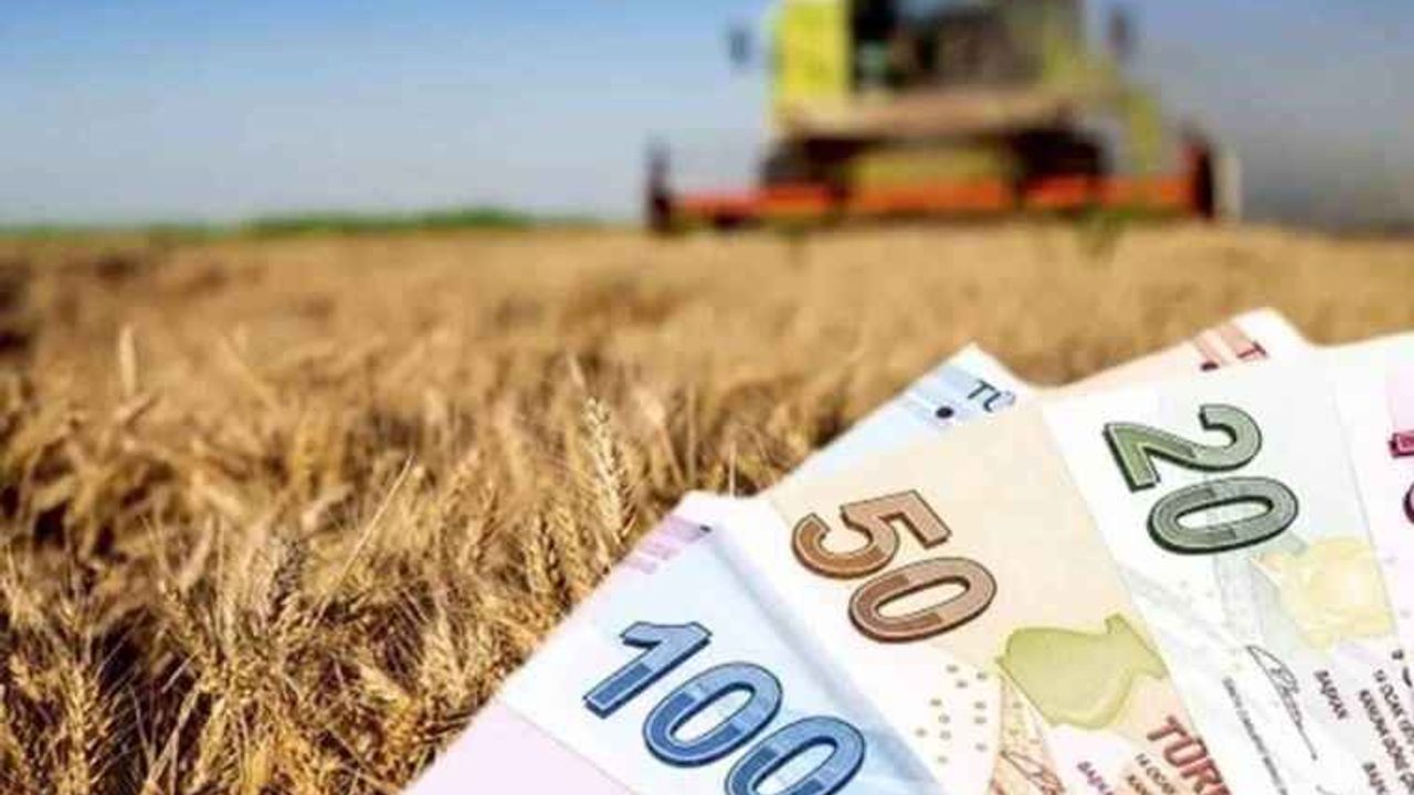 Çiftçilere tarımsal destekleme ödemesi bugün yapılacak